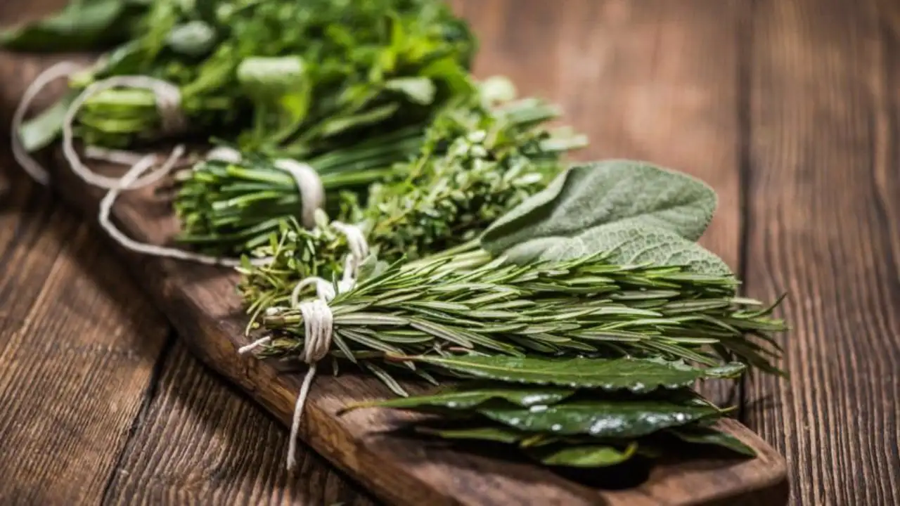 Hierbas en la elaboracion de cerveza