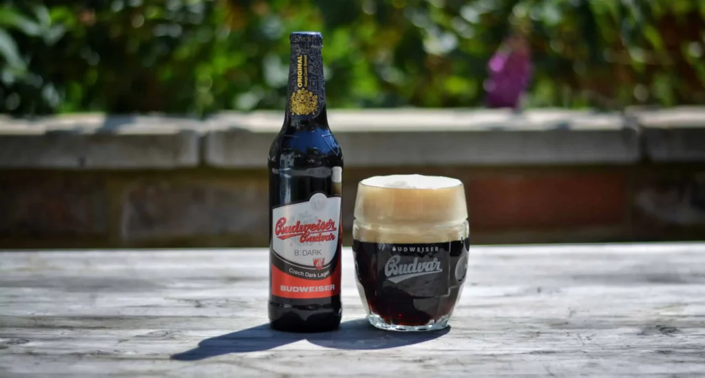 Botella Budweiser Budvar B:Dark Czech Dark Lager con vaso tradicional checo servido mostrando cerveza oscura con espuma beige cremosa, ambiente exterior soleado