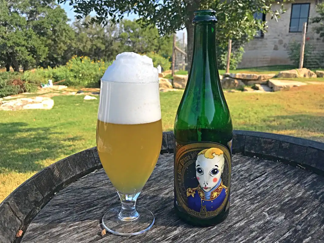 Wild Specialty Beer ejemplo comercial fermentación salvaje ingredientes especiales