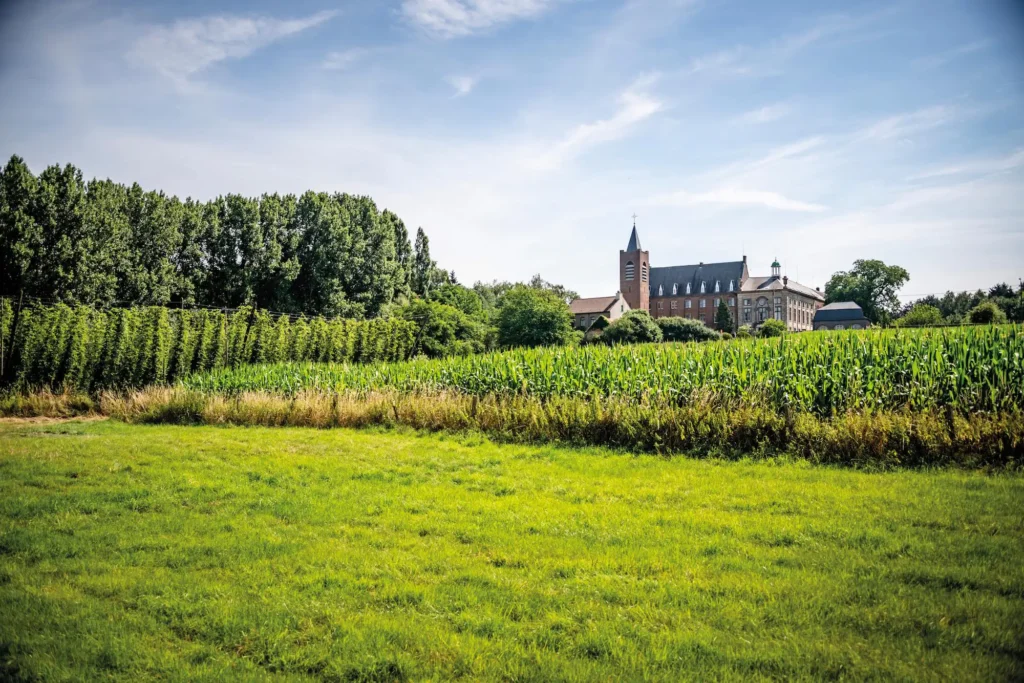 Campos de cultivo de lúpulo y vista panorámica de la Abadía de Affligem, cuna de una de las cervezas trapenses más antiguas de Bélgica