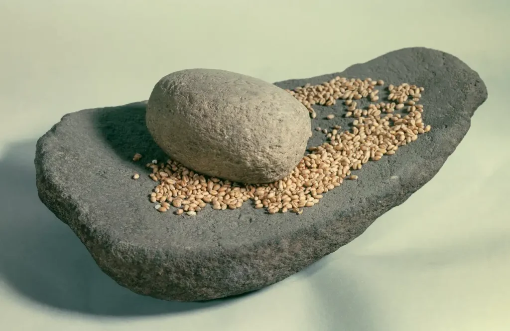 Molino de mano neolítico con granos de cereal: herramienta ancestral para la molienda de cebada y trigo en la Península Ibérica.