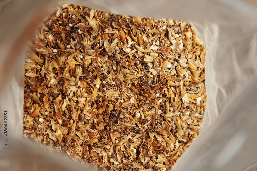 Domina molienda malta y maceración cerveza artesanal: temperaturas, ratios agua/grano, escalones