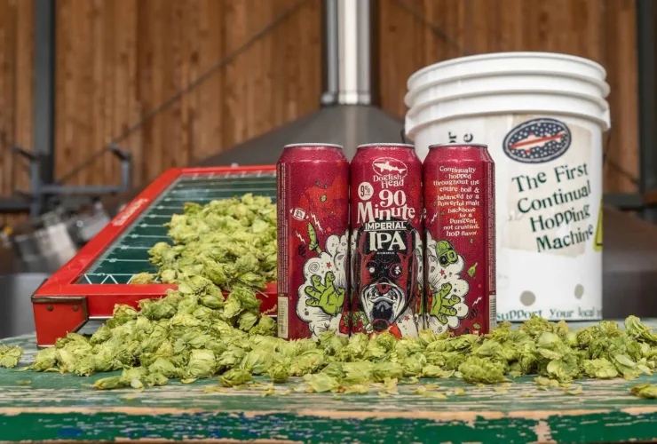 Dogfish Head 90 Minute IPA junto a lúpulos frescos