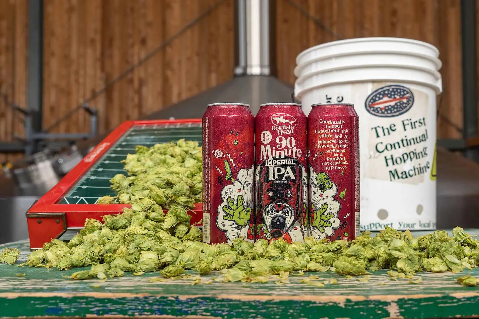 Dogfish Head 90 Minute IPA junto a lúpulos frescos