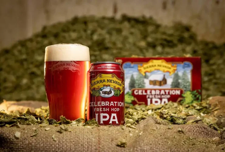 Sierra Nevada Celebration Ale Fresh Hop IPA en vaso y lata sobre fondo de lúpulo fresco con pack de 12 latas