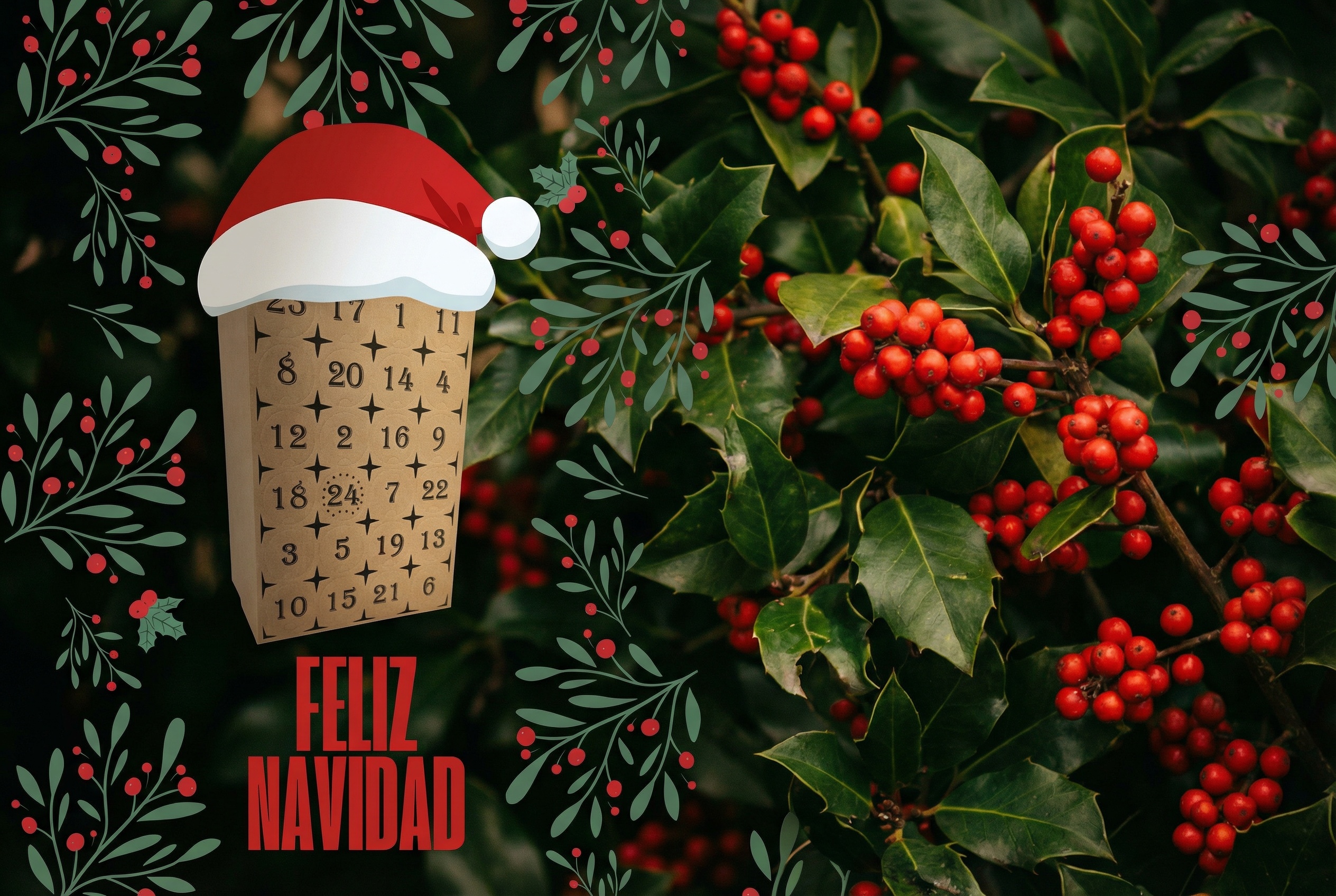 Calendario adviento Dcervezas artesanas españolas